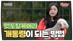 펫토탈케어과