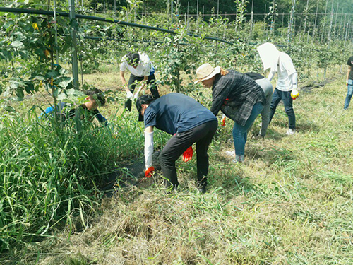 2016학년도 농촌봉사활동 체험